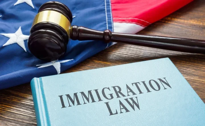 Why Enforcing Immigration Laws is a Matter of National Security